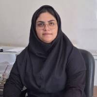 فائزه مطهری